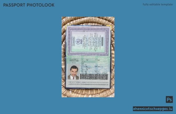 Vorschau des neuen pakistanischen Reisepasses (2020)